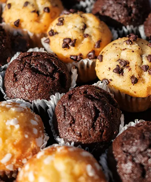 Muffins au chocolat, pépites de chocolat, nature